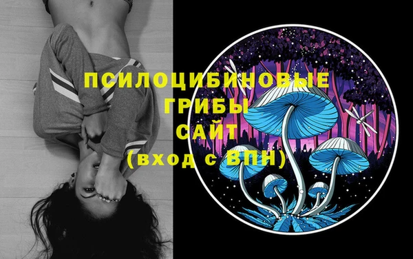 mdma Осинники