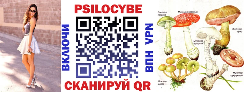 Купить закладки  Саки  Псилоцибиновые грибы GOLDEN TEACHER 